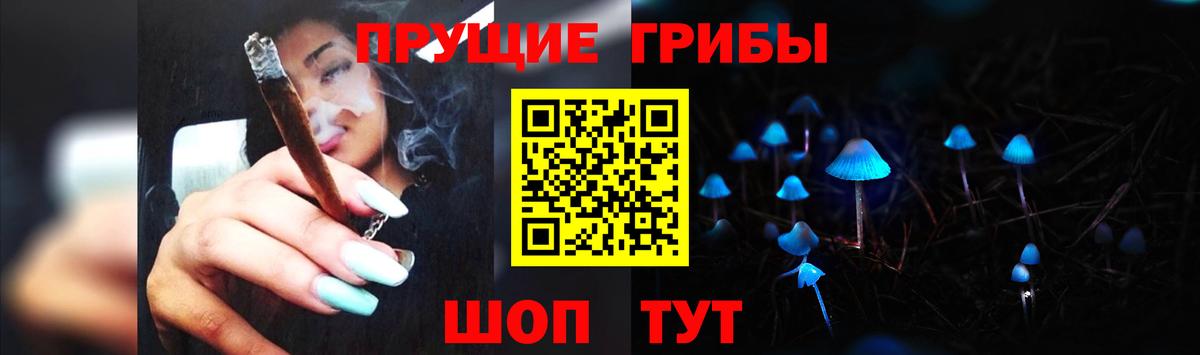 Галлюциногенные грибы прущие грибы  Вход с VPN  Камень-на-Оби 